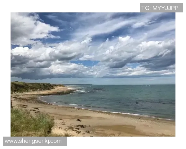 新西兰对阵安哥拉精彩直播链接及赛前分析尽在这里